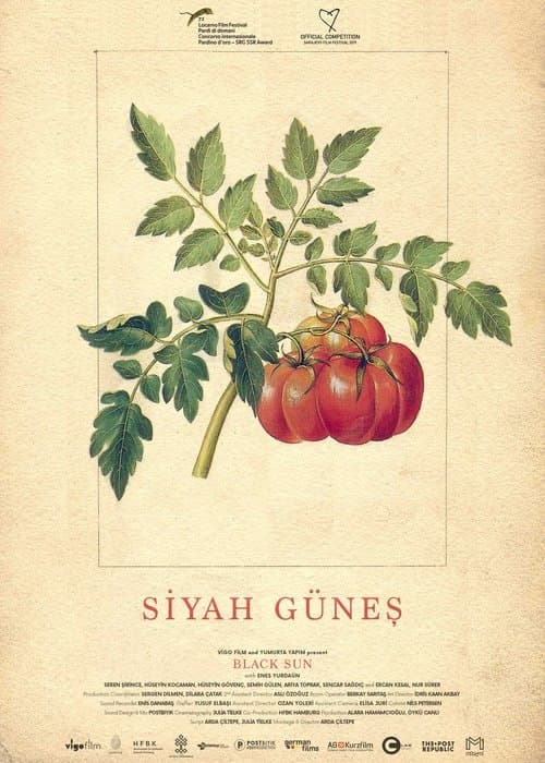 Siyah Güneş (2019) poster
