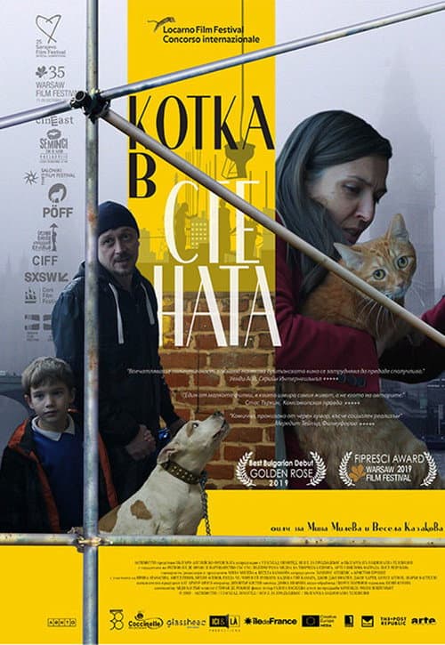 Котка в стената (2020) poster