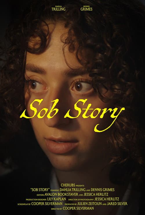 Sob Story (2025) poster