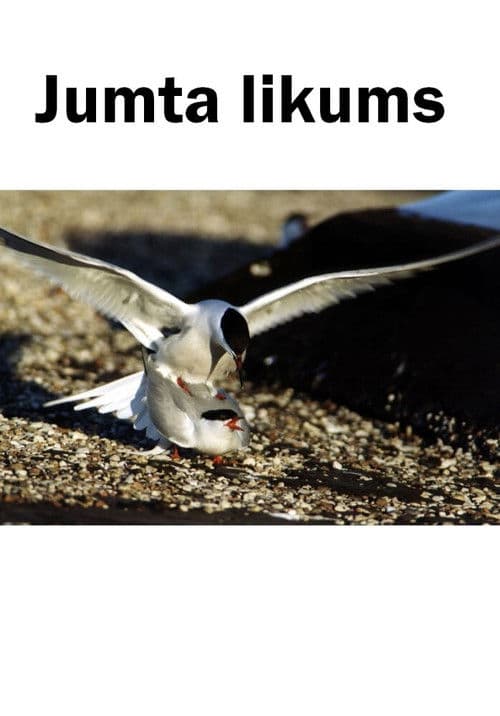 Jumta likums (2001) poster