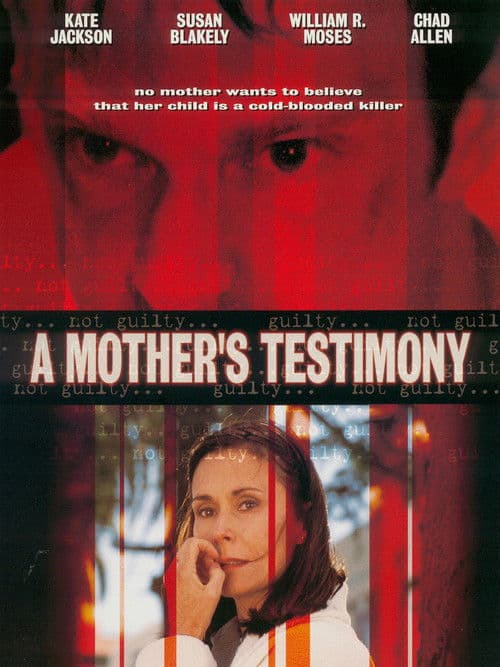 A Mother's Testimony (2001) poster