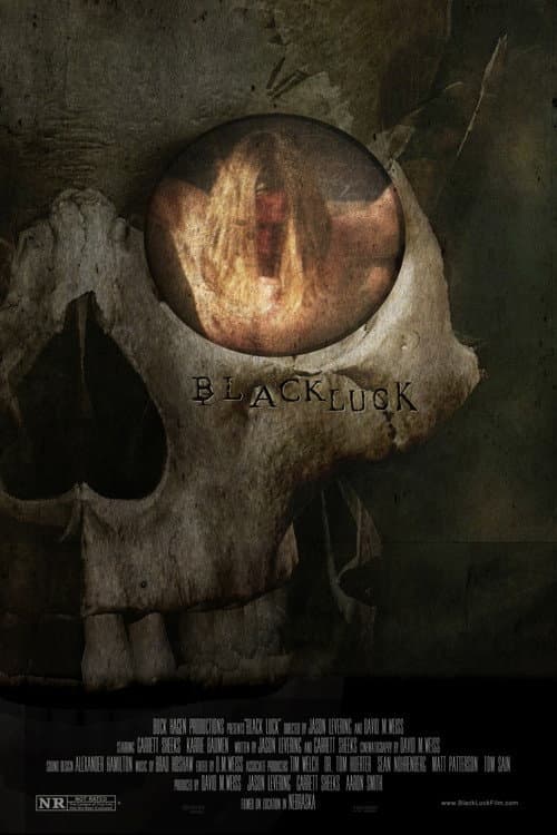 Black Luck (2016) poster