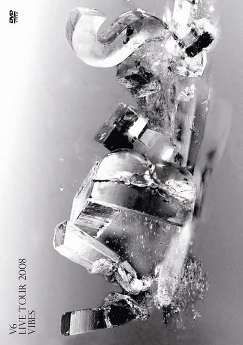 V6 LIVE TOUR 2008 VIBES (2009) poster