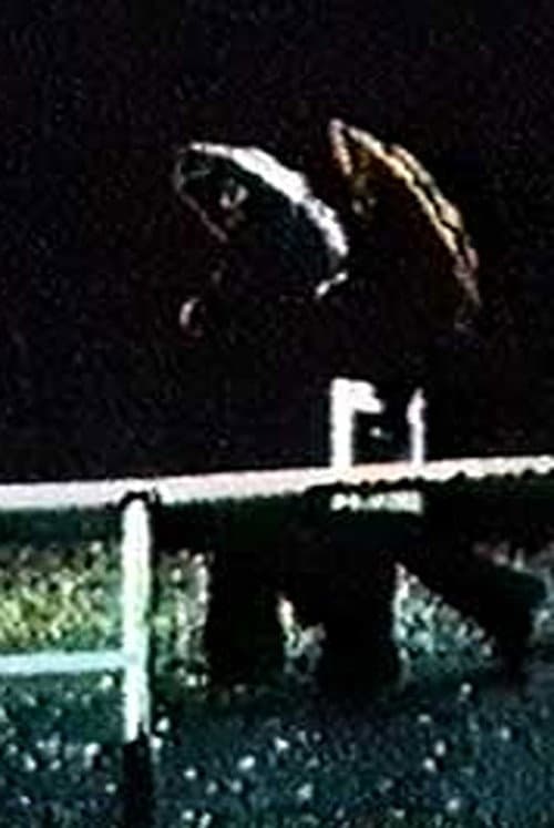 Just Waiting (1975) poster