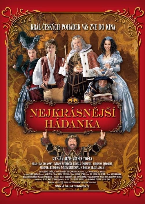 Nejkrásnější hádanka (2008) poster