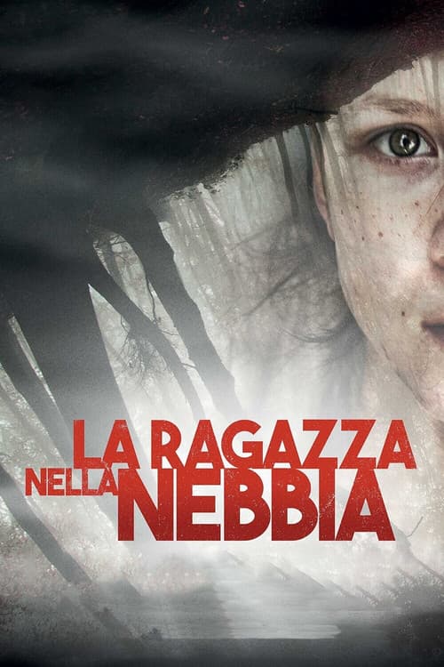 La ragazza nella nebbia (2017) poster
