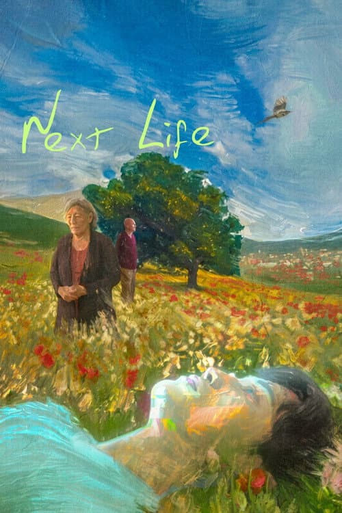 Next Life (2025) poster