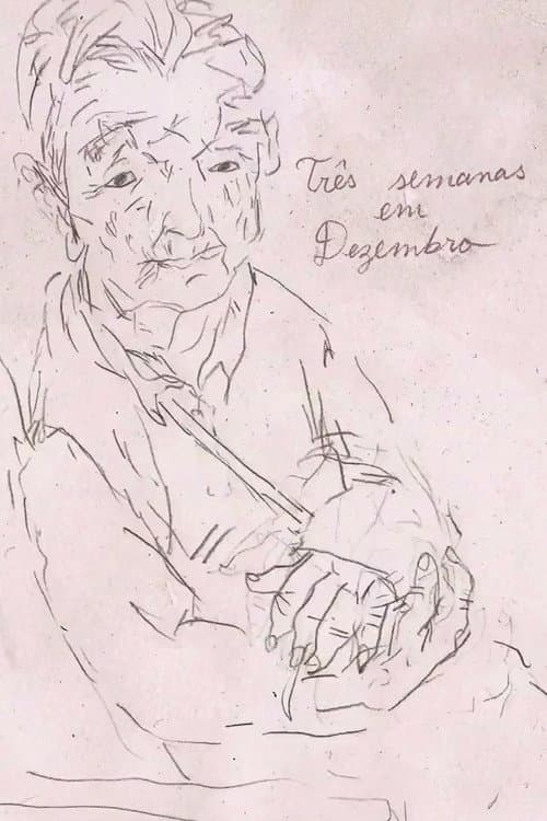 Três Semanas em Dezembro (2013) poster