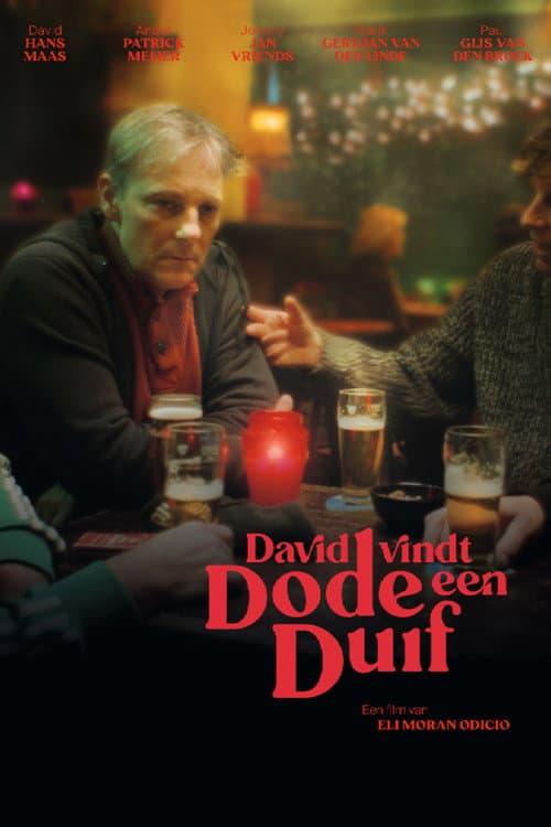 David Finds a Dead Pigeon (2024) poster