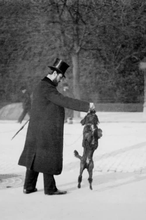 Chien Caniche Noir Sautant (1897) poster