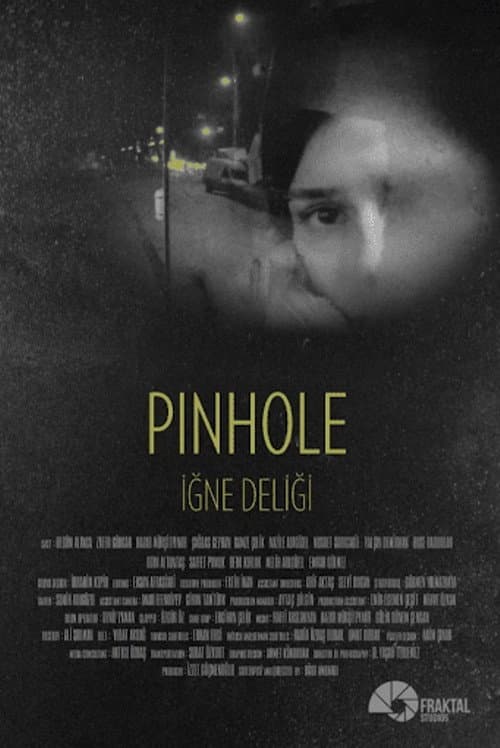 Pinhole (2015) poster