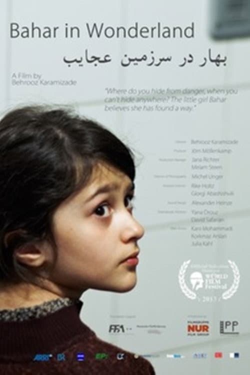 Bahar im Wunderland (2013) poster