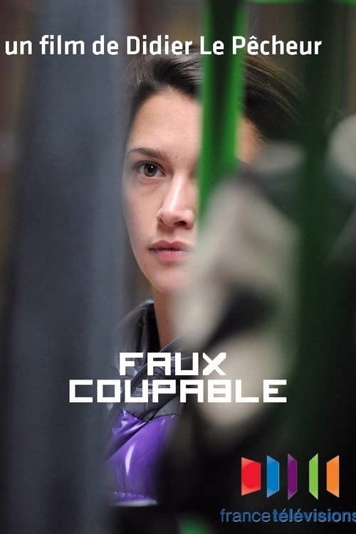 Faux coupable (2012) poster
