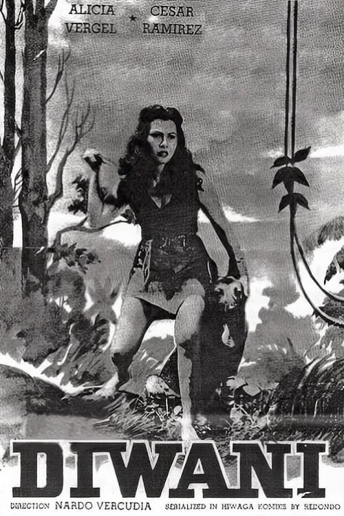 Diwani (1953) poster