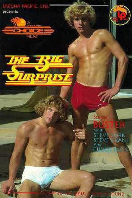 The Big Surprise (1980) poster