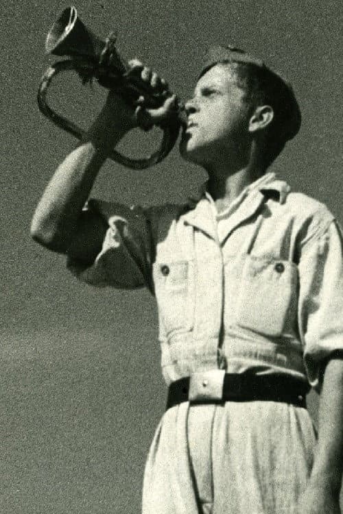 Mladina gradi (1946) poster