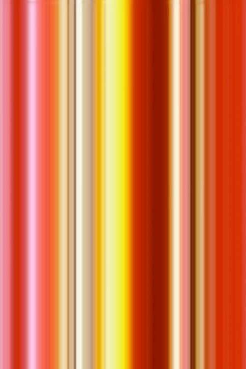 Tulipa (2008) poster
