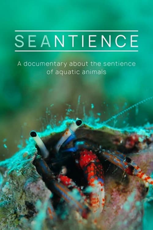 Seantience (2025) poster