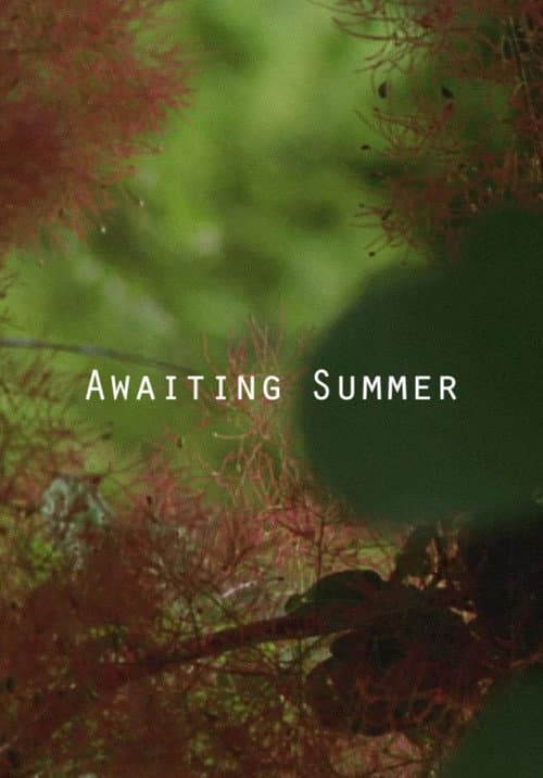 Awaiting Summer (2016) poster