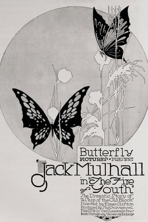 The Flame of Youth (1917) poster