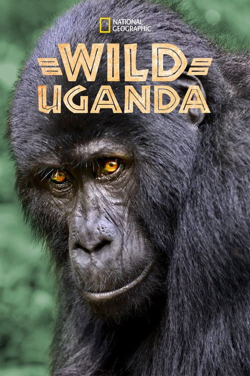 Wild Uganda (2018) poster