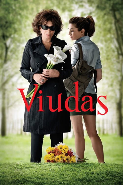 Viudas (2011) poster