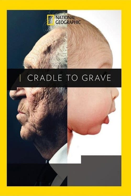Cradle to Grave (2017) poster