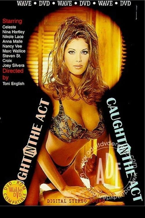 Caught in the Act (1995) poster
