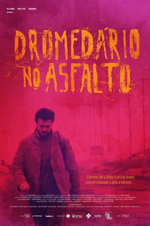 Dromedário no Asfalto (2014) poster
