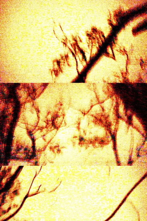 Untitled (2021) poster
