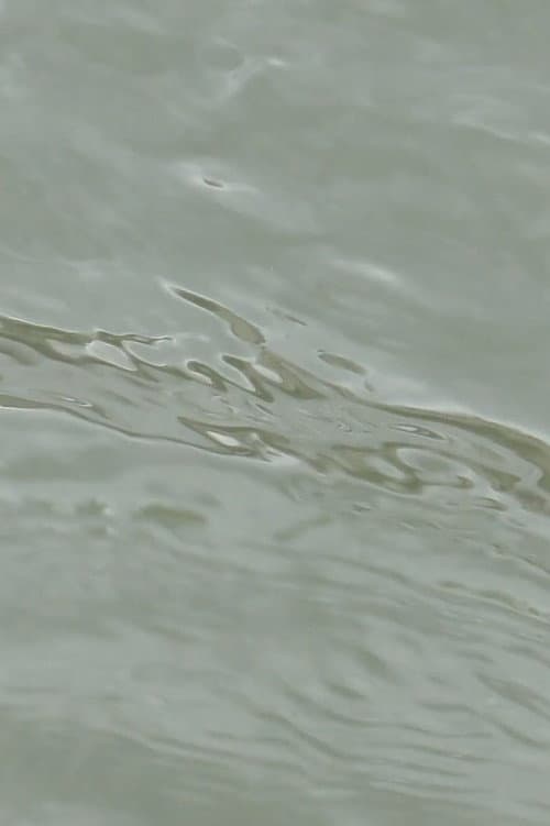 entre les vagues (un hommage) (2023) poster