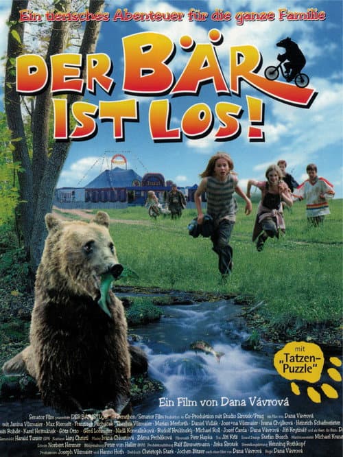 Der Bär ist los! (2000) poster