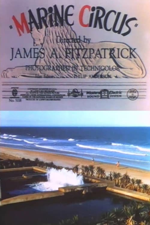 Marine Circus (1939) poster