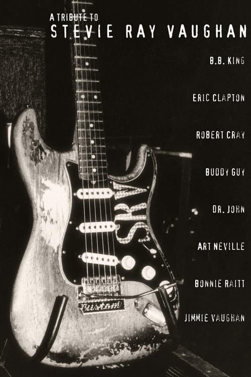 A Tribute to Stevie Ray Vaughan (1996) poster