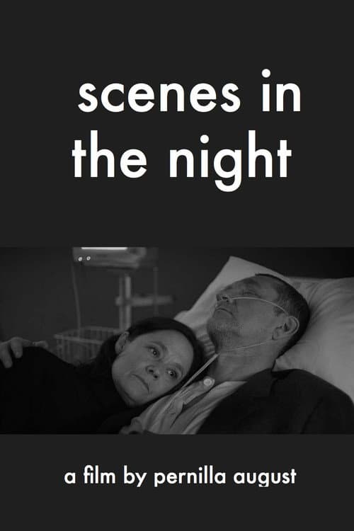 Scener ur natten (2018) poster