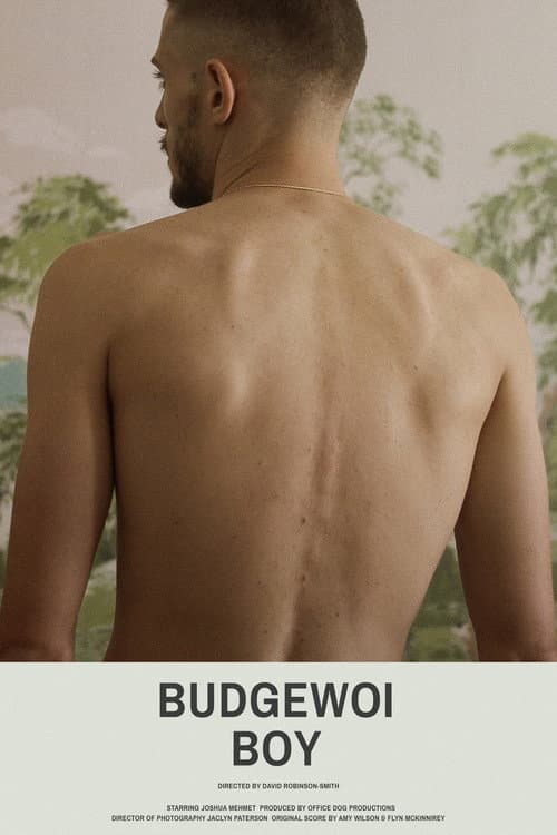 Budgewoi Boy (2018) poster