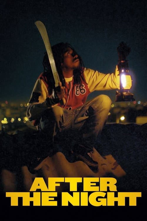 Até ver a luz (2013) poster