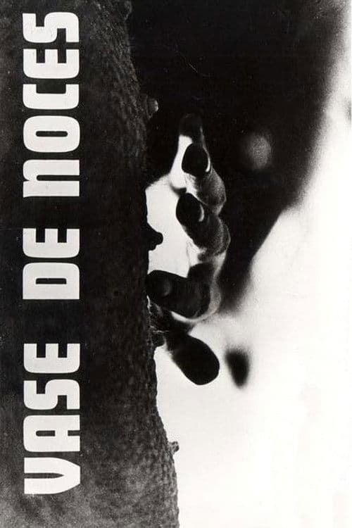 Vase de Noces (1975) poster