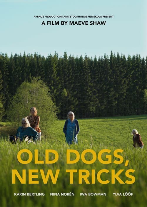 Old Dogs, New Tricks () poster