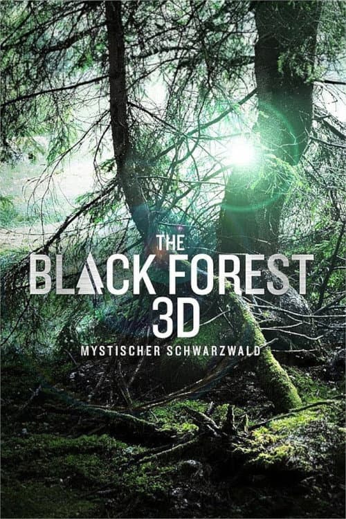 The Black Forest - Mystischer Schwarzwald (2013) poster