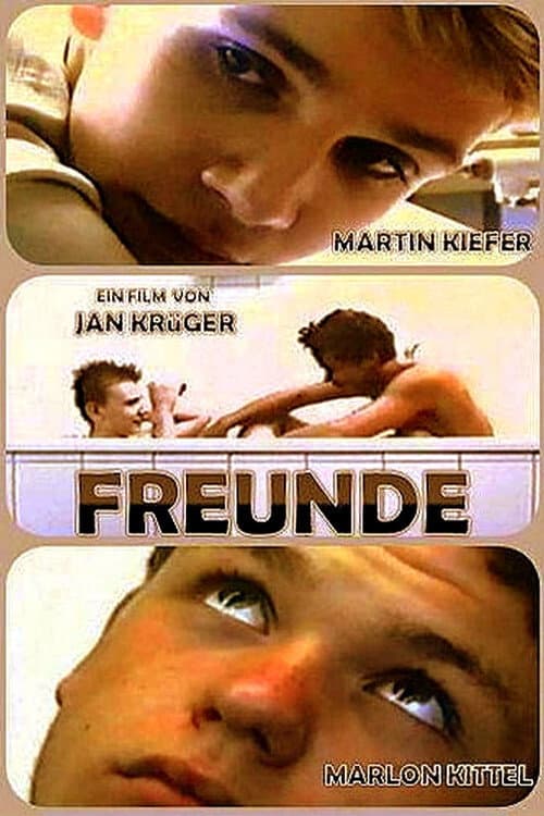 Freunde (2001) poster