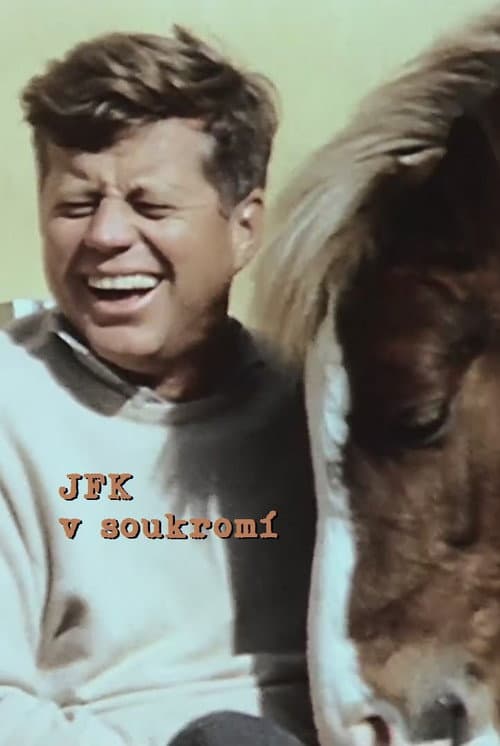 JFK: The Private President (2013) poster