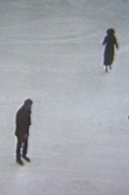 Skating (1978) poster