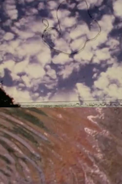 The Cosmos in Mike Smith’s Pond (2002) poster