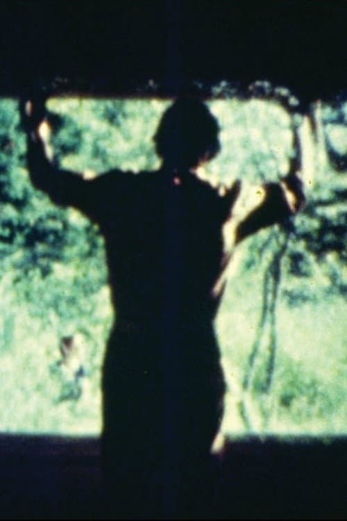 La Escena Circular (1982) poster