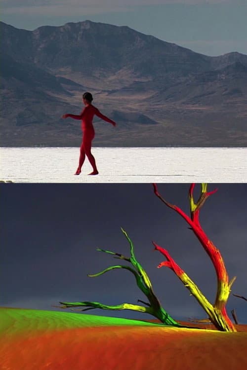 bodies of the desert (2005) poster