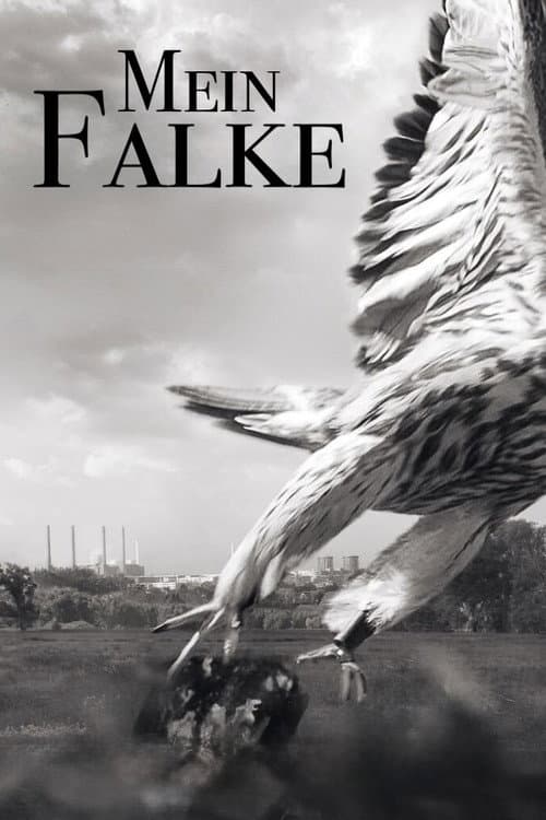 Mein Falke (2023) poster