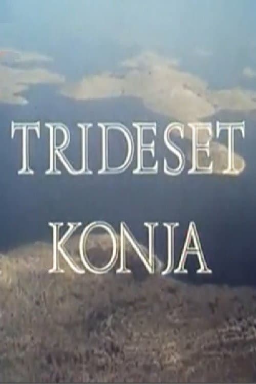 Trideset konja (1988) poster