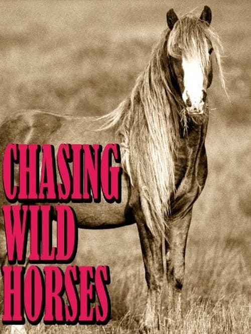Chasing Wild Horses (2008) poster