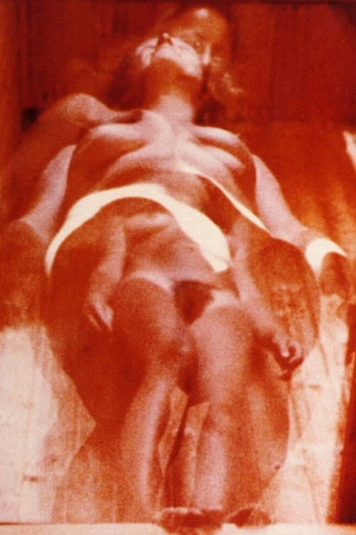 Textur (1976) poster